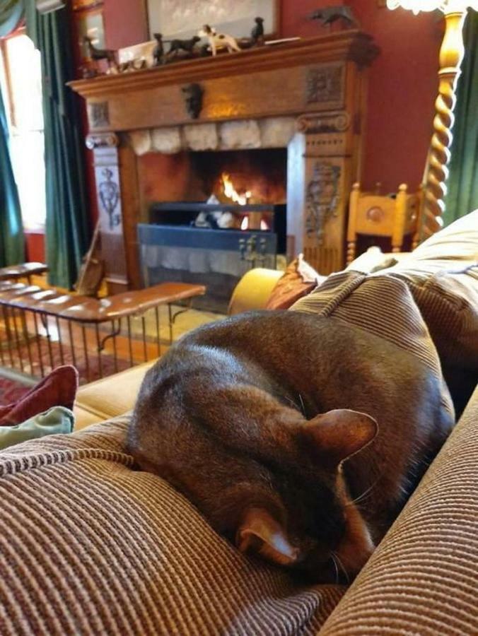 Bed and Breakfast The Farside Country Manor à Nottingham Road Extérieur photo